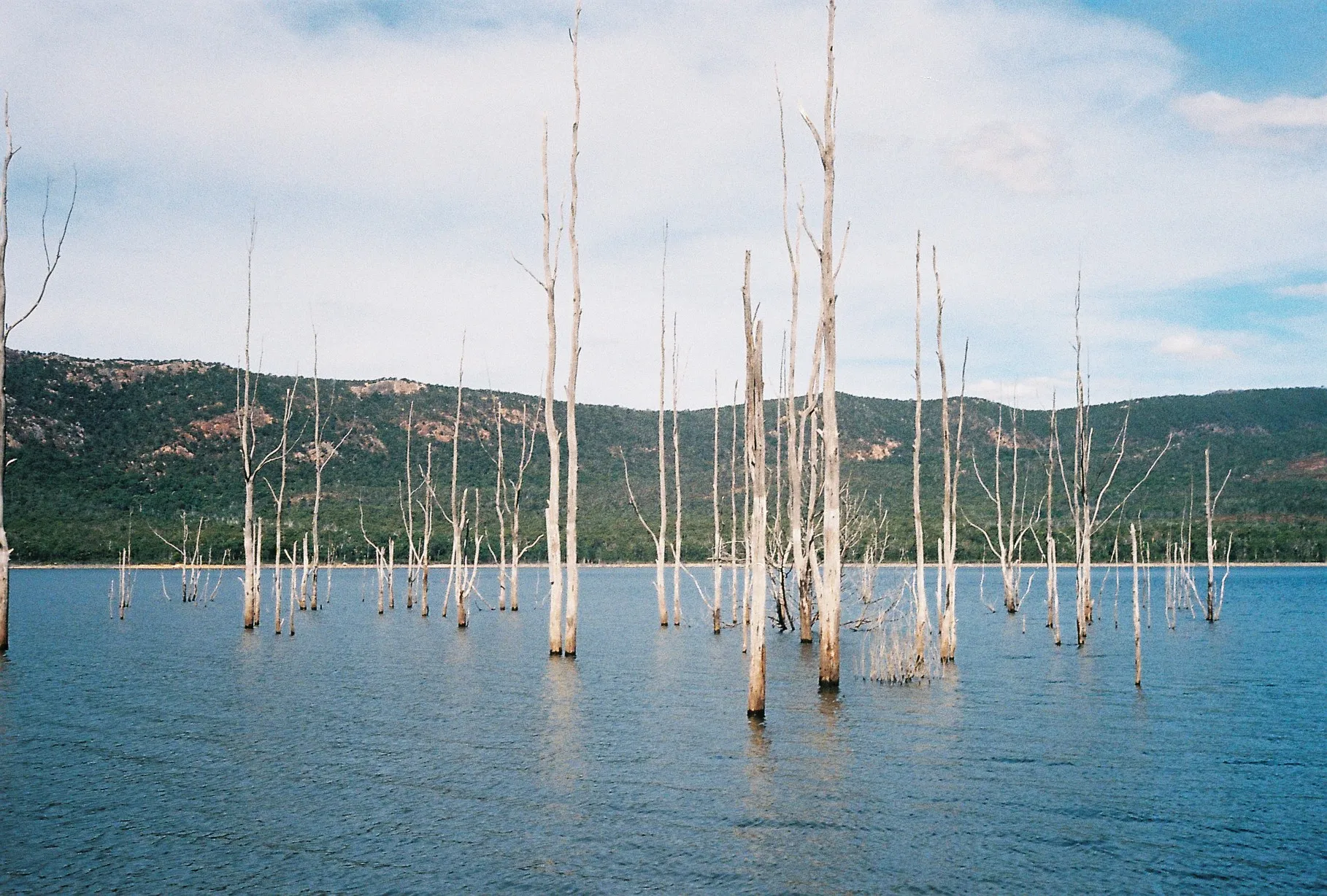 Lake with dead trees in, Grampian Mountains Victoria, Australia