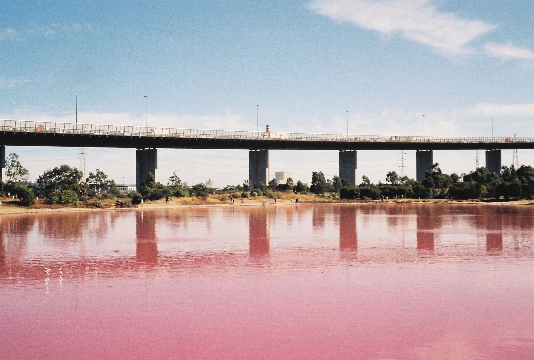 Pink lake under freeway overpass