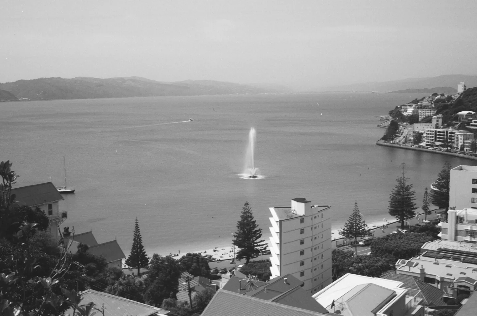 View over bay and fountain Wellington New Zealand